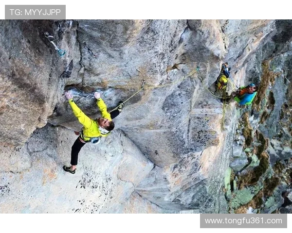 上海攀岩队在攀岩比赛中创下新高成就引发广泛关注与赞誉