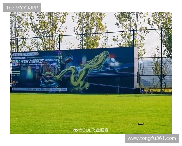 攀岩联赛点评：西安飞盘队的战术表现