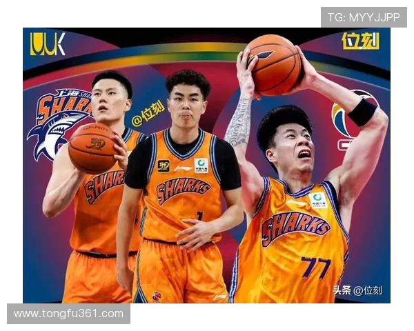 篮球意识排行榜揭晓上海篮球队荣登榜首引发热议