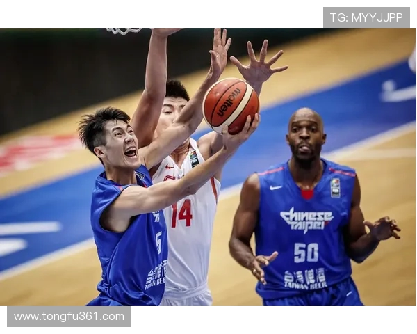 刘铮的奋斗历程与篮球梦想如何在风雨中绽放光彩